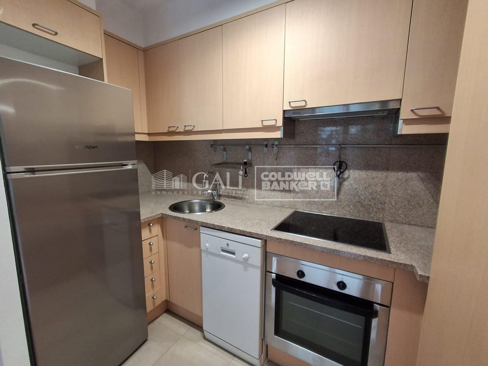 Apartment 2 Bedrooms Rent Canillo