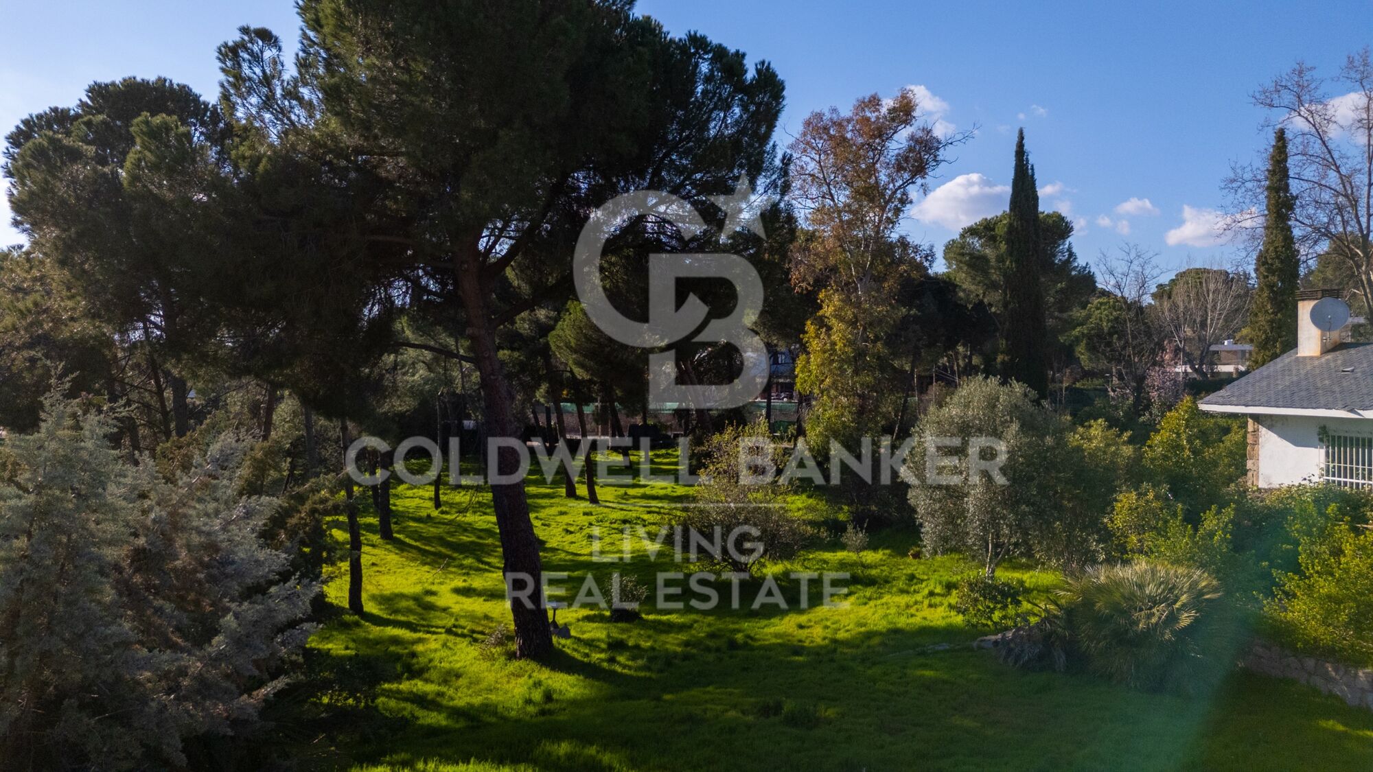 Casa o chalet independiente en venta en Somosaguas Pozuelo