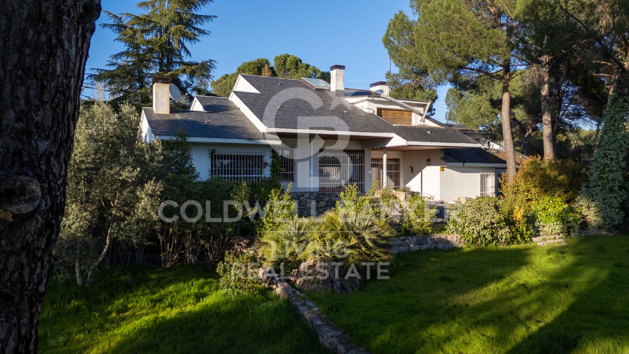 Casa o chalet independiente en venta en Somosaguas Pozuelo