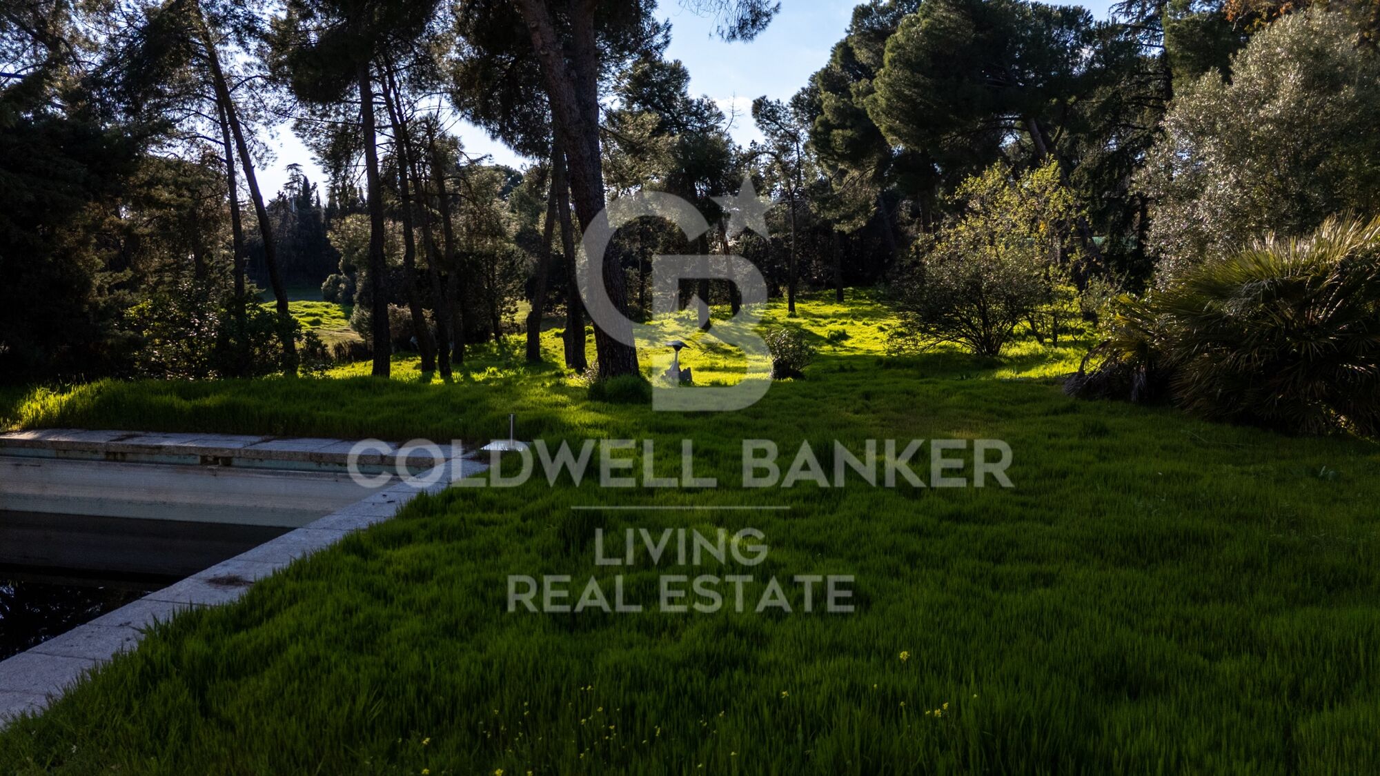 Casa o chalet independiente en venta en Somosaguas Pozuelo