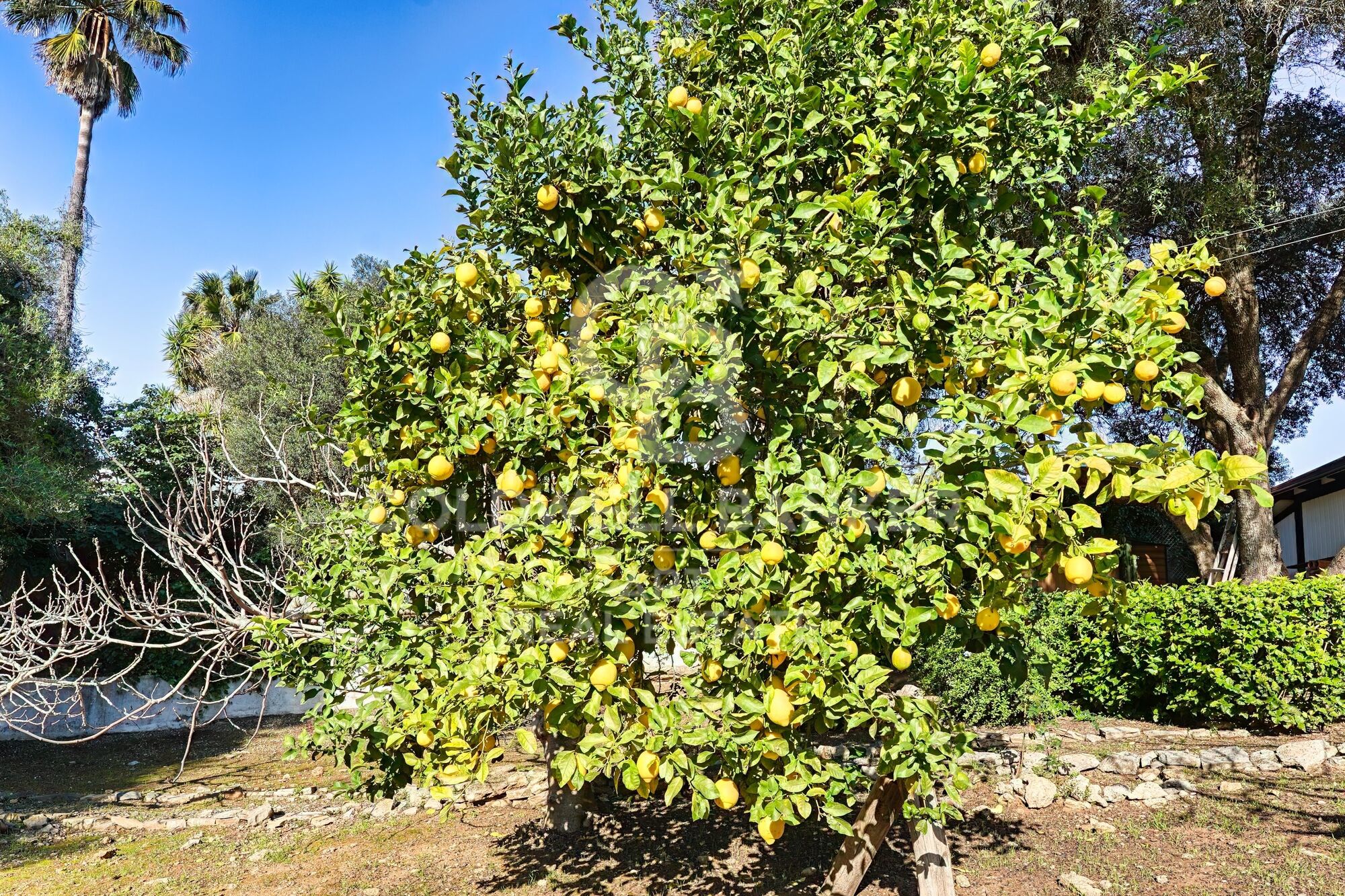 Beeindruckende Kolonialstil-Villa in Sotogrande