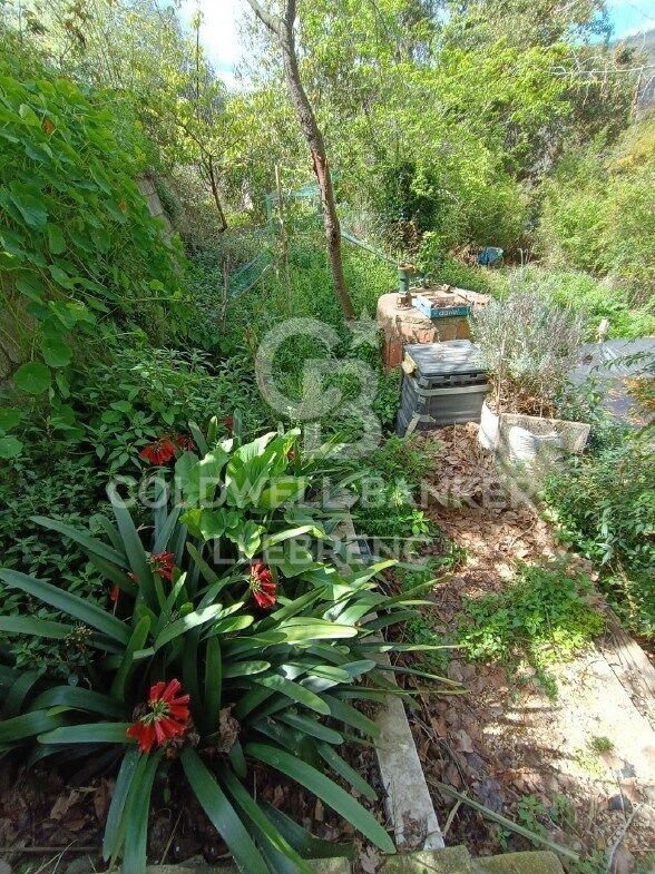 House with land, 2 fincas, rented for sale in Vallvidrera