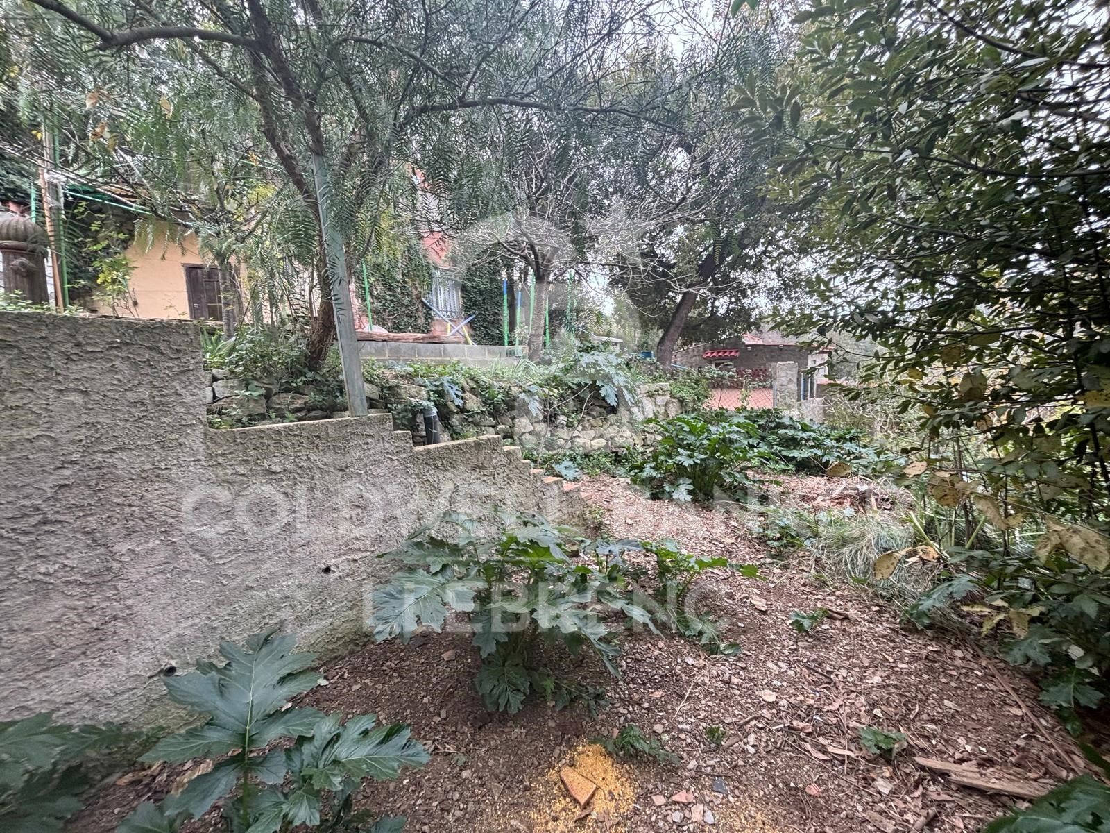House with land, 2 fincas, rented for sale in Vallvidrera