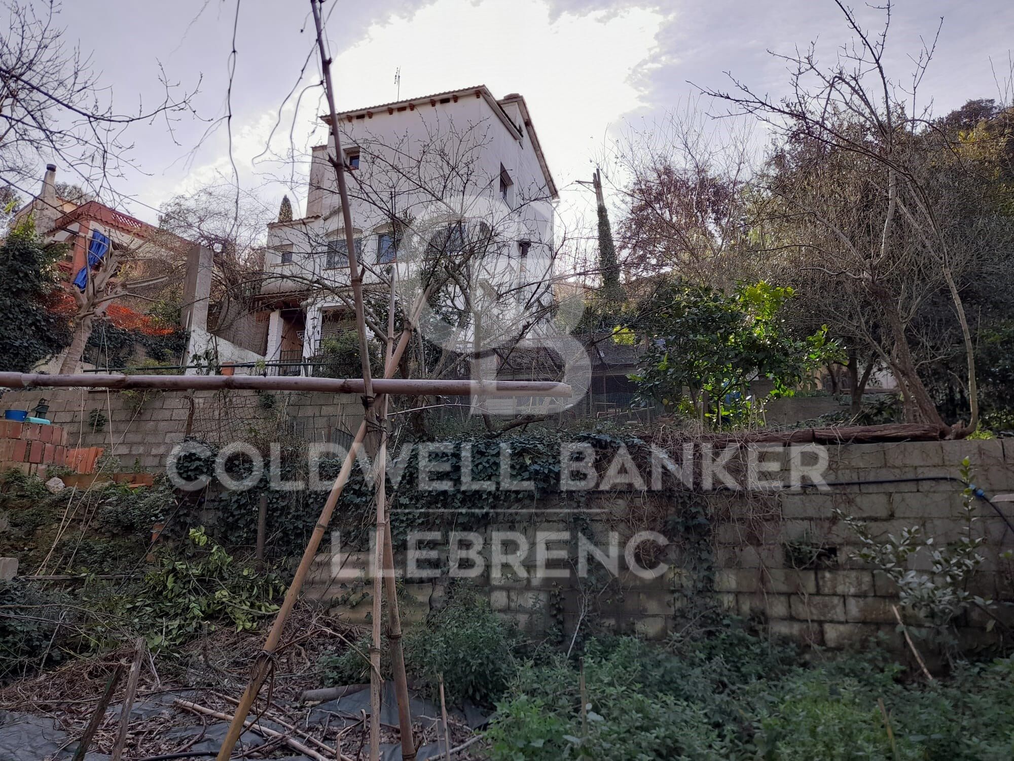 House with land, 2 fincas, rented for sale in Vallvidrera