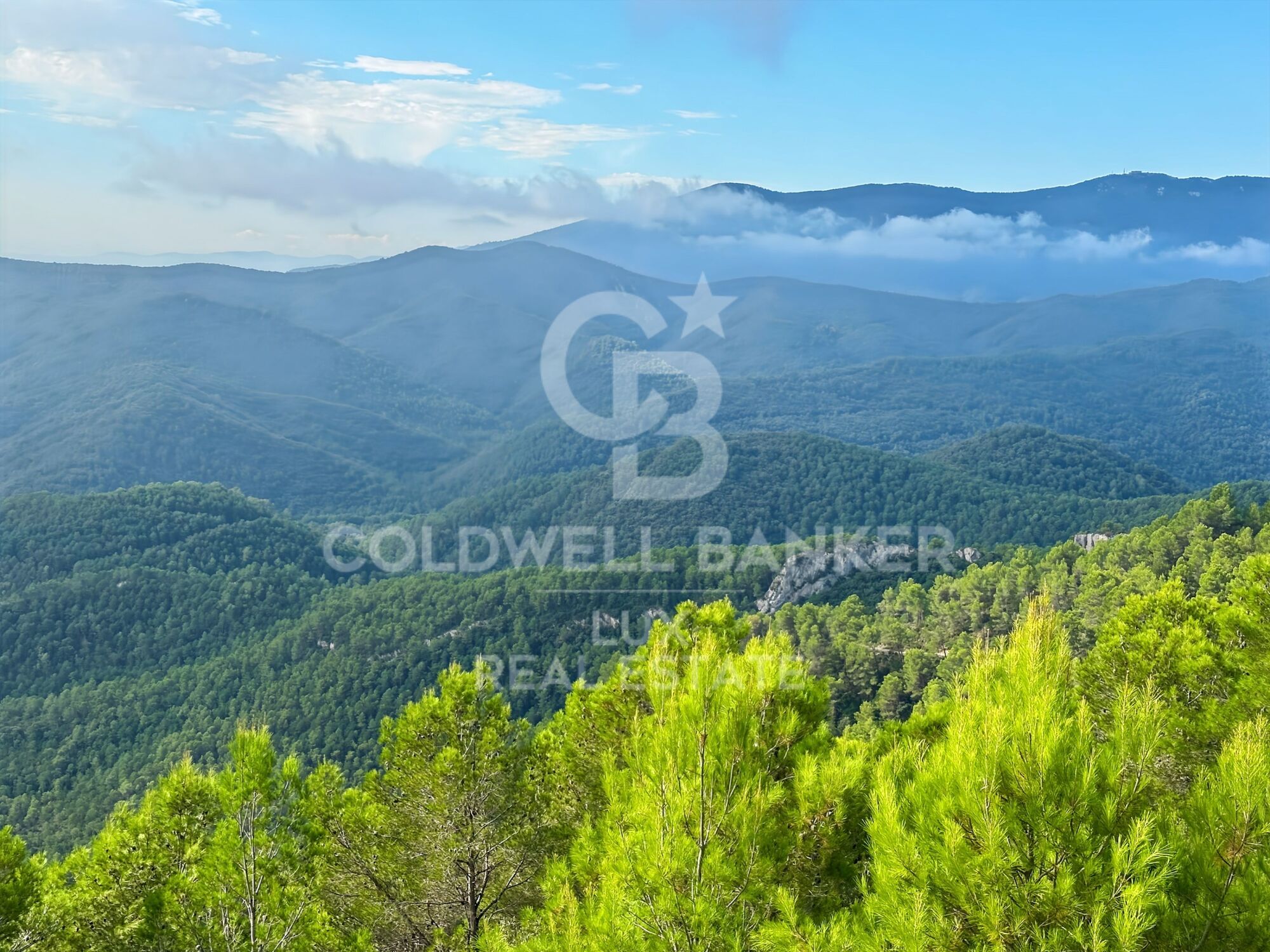 74,9 hectares de forêt à vendre à Sant Llorenç de la Muga, dans la province de Gérone
