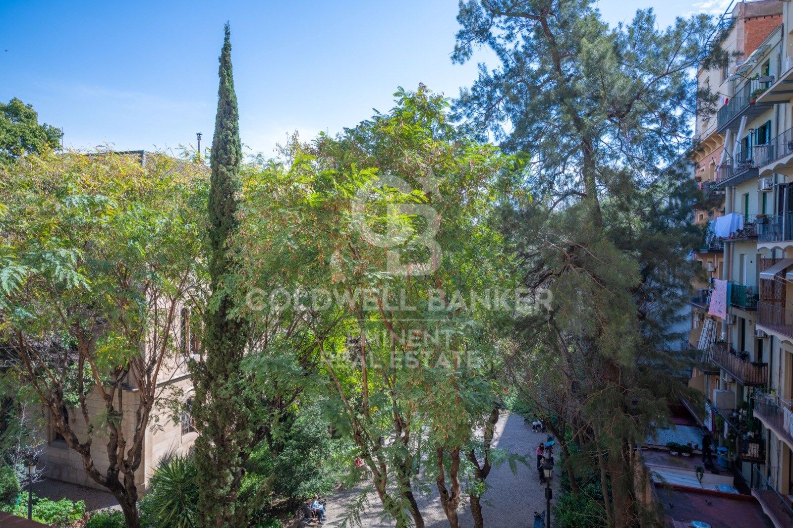 Exclusive Luxury Renovated Apartment with Park Views in Eixample
