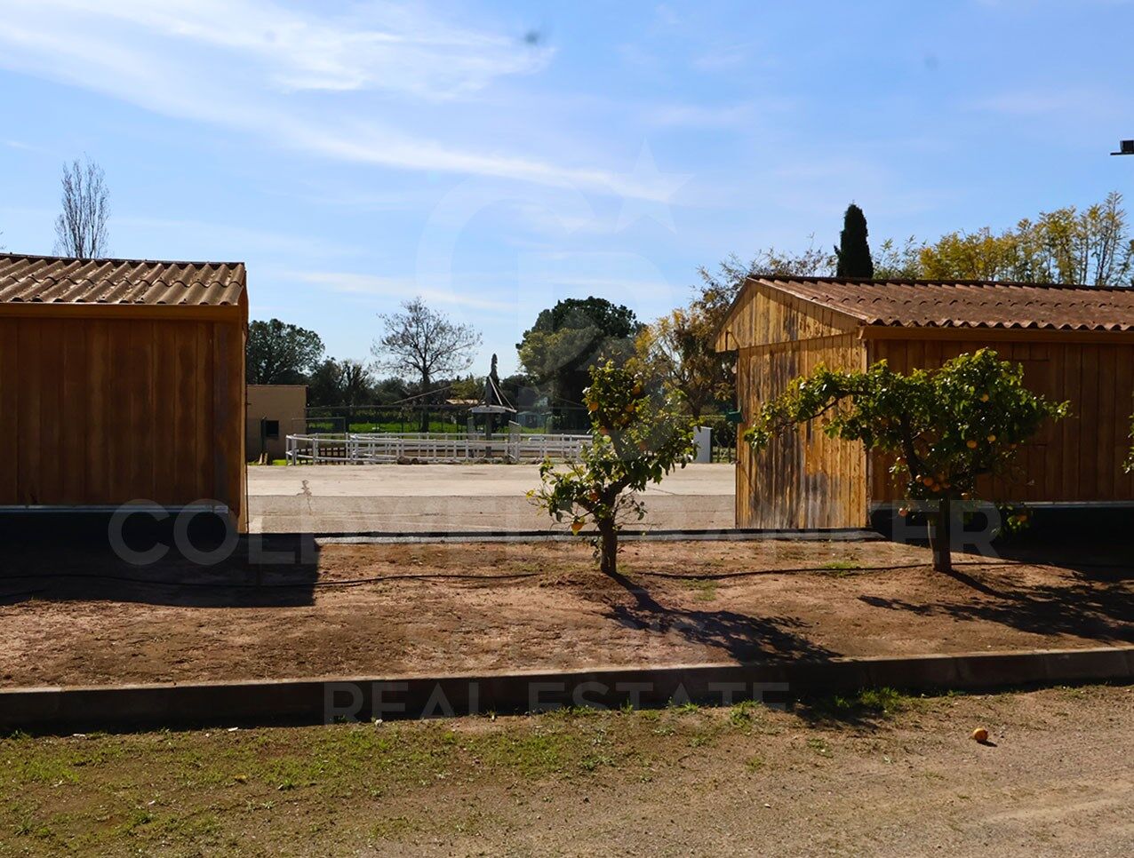 Exklusives, luxuriöses Reiteranwesen mit professionellen Einrichtungen, 20 Minuten von Valencia entfernt