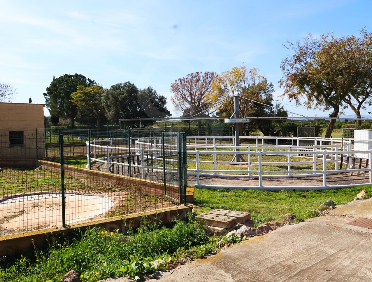 Exklusives, luxuriöses Reiteranwesen mit professionellen Einrichtungen, 20 Minuten von Valencia entfernt