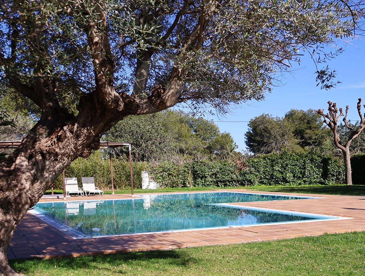 Exclusiva finca ecuestre de lujo con instalaciones profesionales a 20 minutos de Valencia