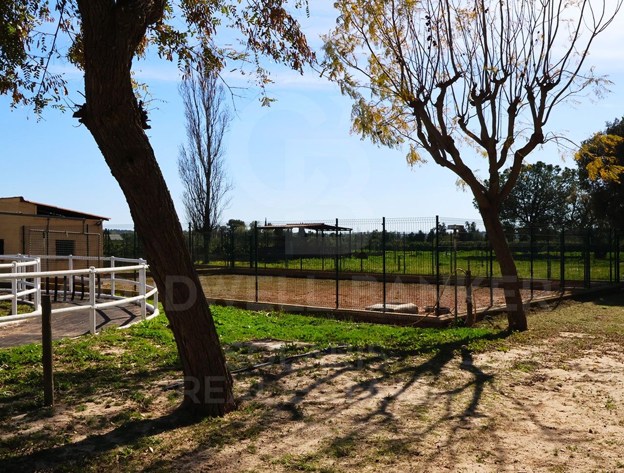 Exclusiva finca ecuestre de lujo con instalaciones profesionales a 20 minutos de Valencia