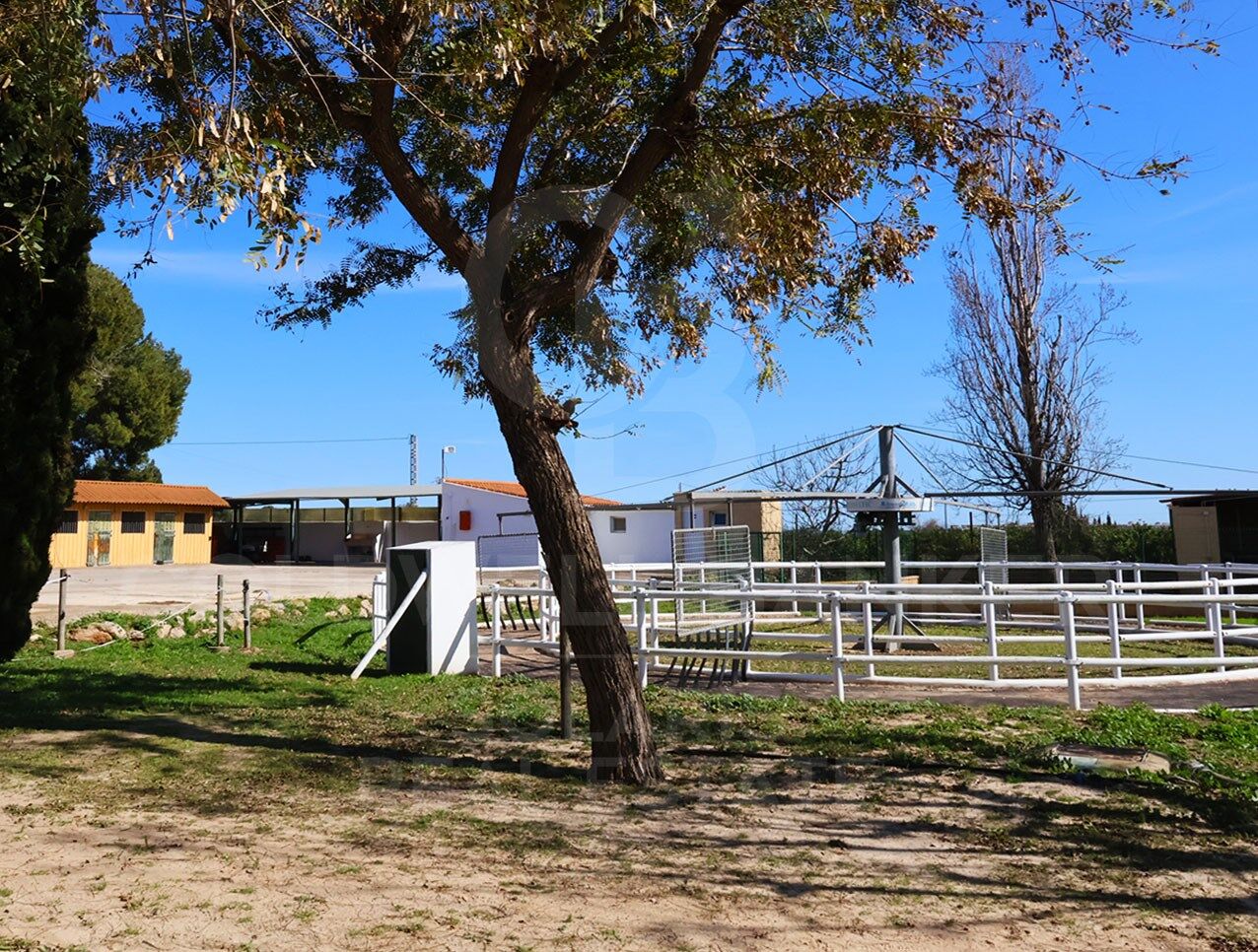 Exclusiva finca ecuestre de lujo con instalaciones profesionales a 20 minutos de Valencia
