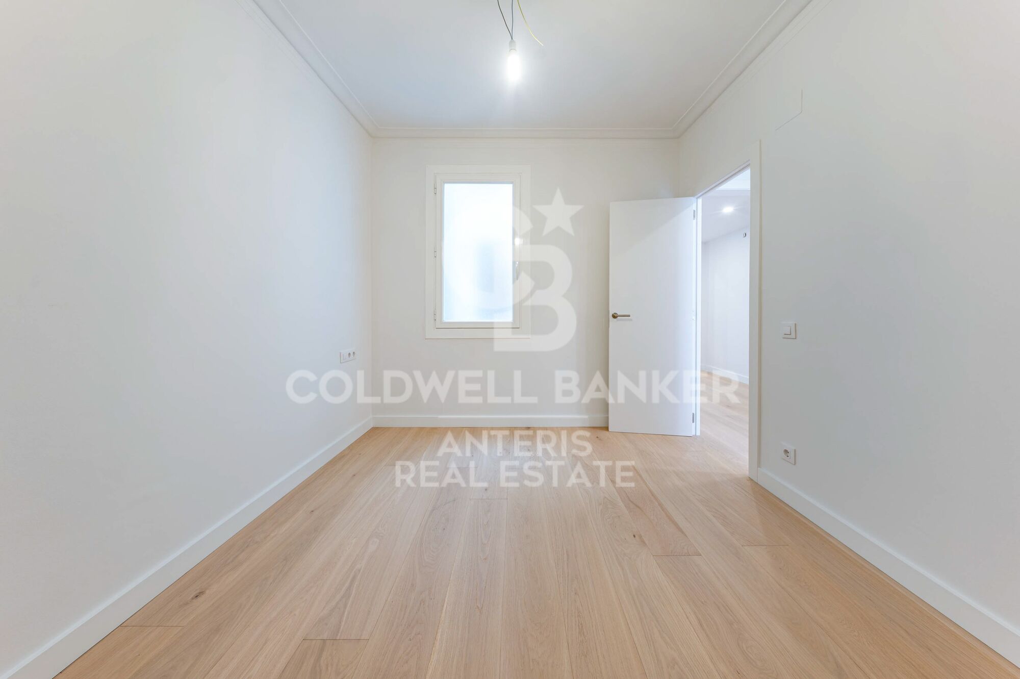 Bright renovated apartment with luxury finishes