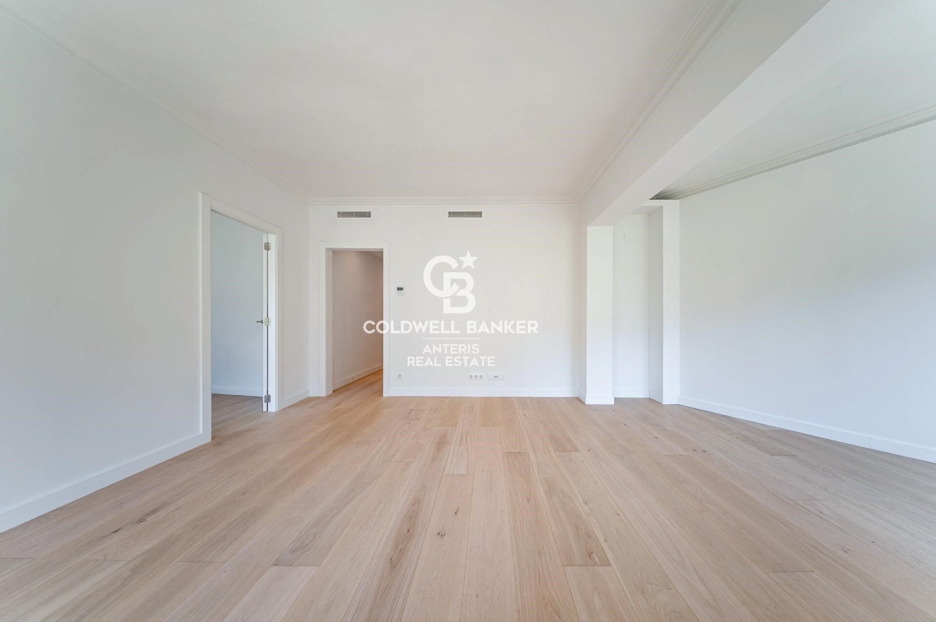 Bright renovated apartment with luxury finishes