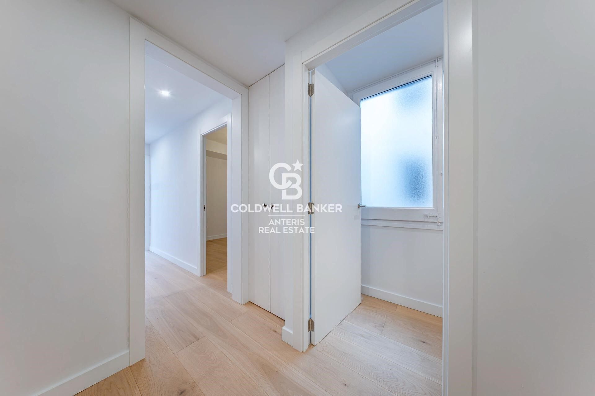 Bright renovated apartment with luxury finishes