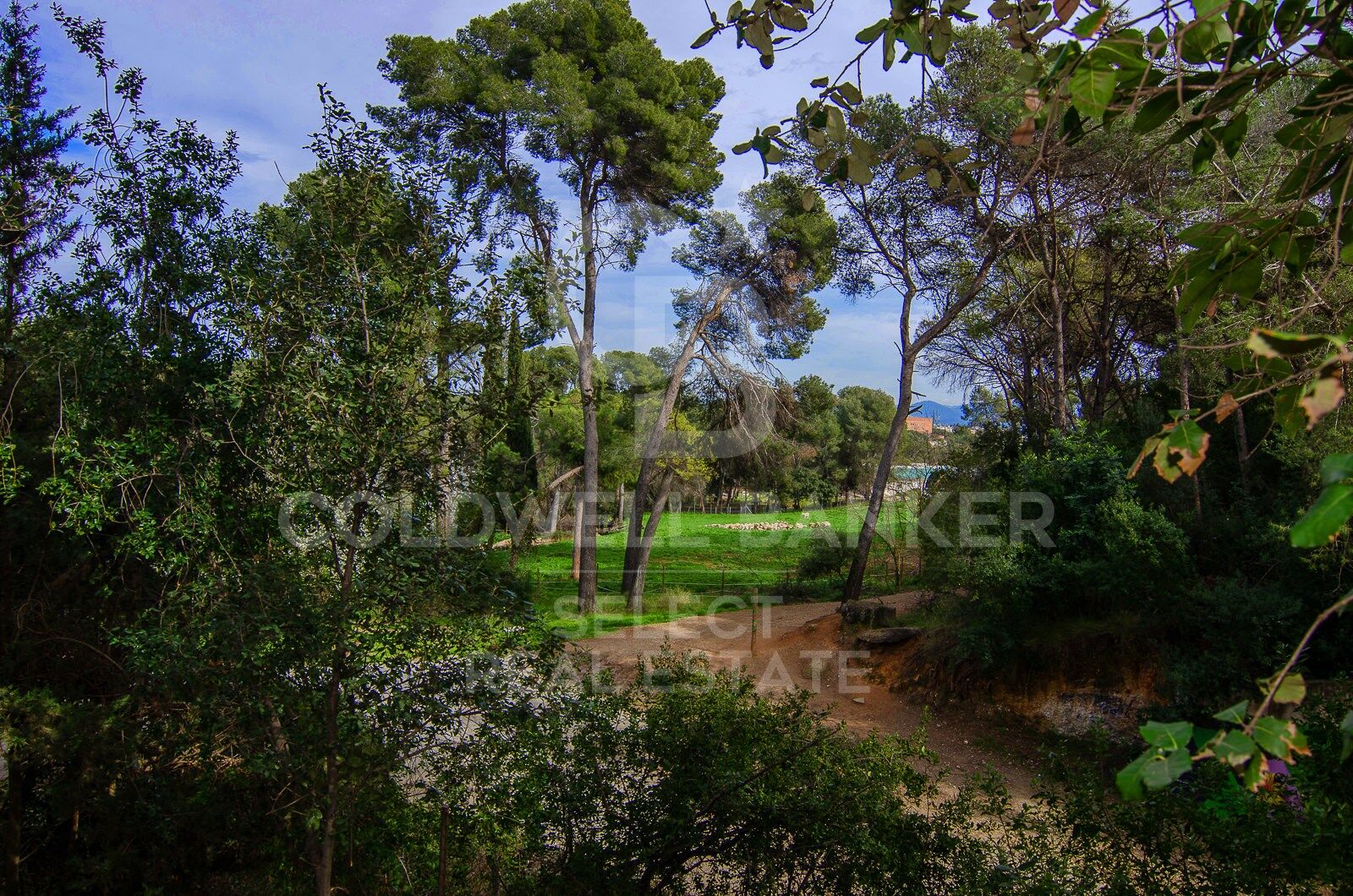 Contemporary elegance in a natural setting in Bellaterra
