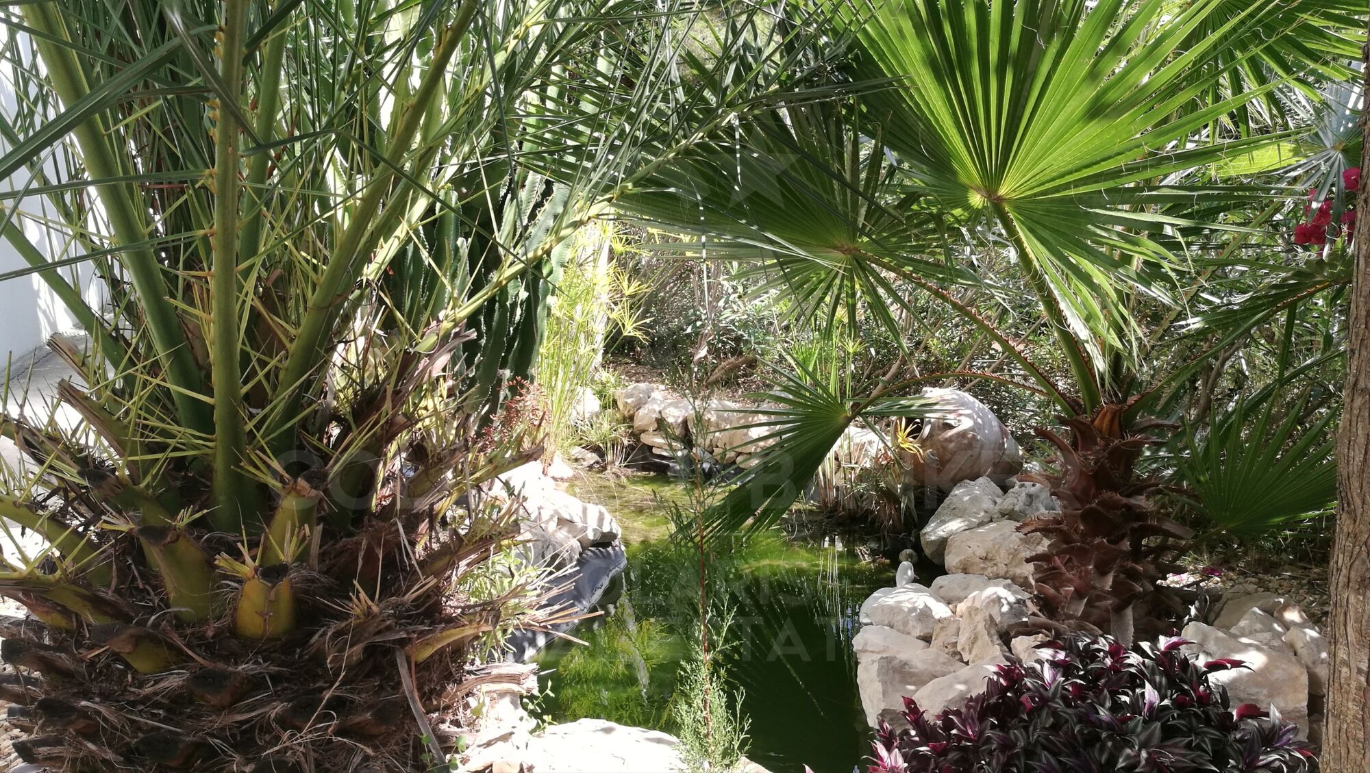 Ibizan villa with spectacular views of the sea and the bay of Calpe
