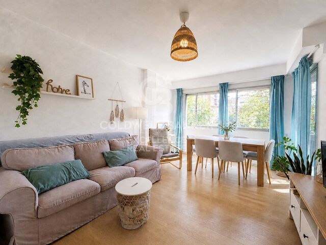 Appartement spacieux et lumineux avec 2 mitoyens dans le quartier d'Amistad