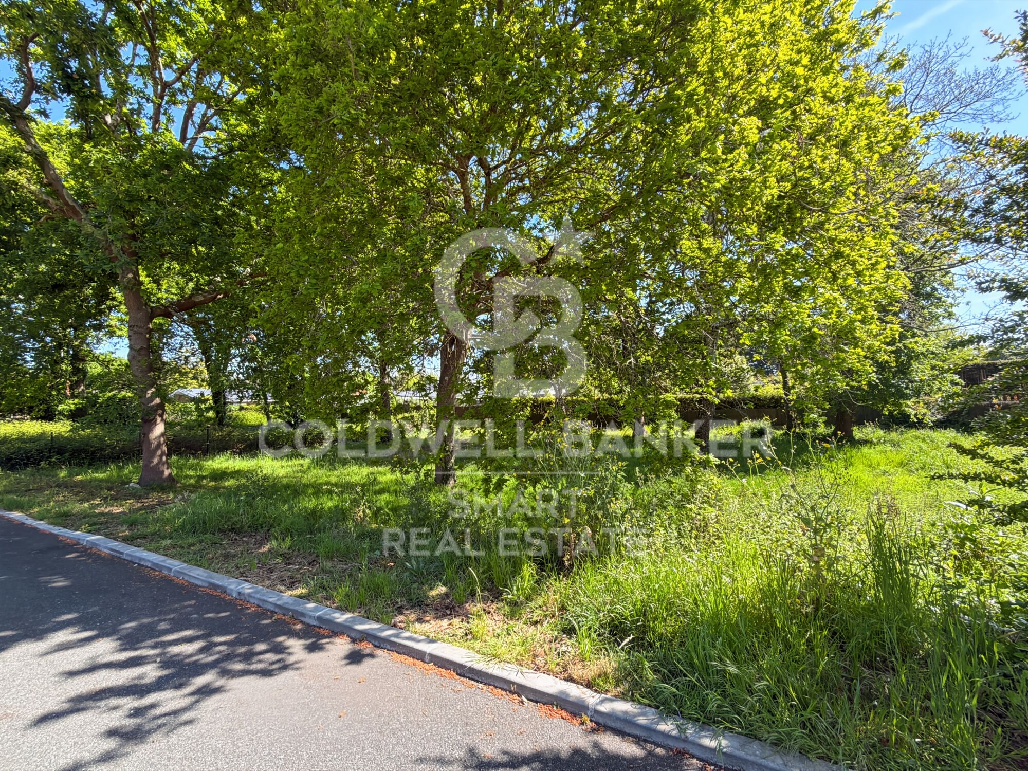 Land Sale Oleiros