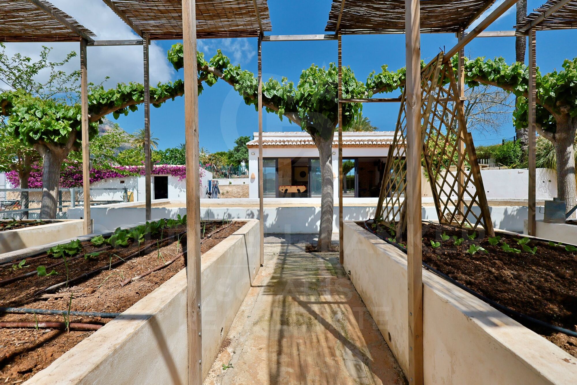 Finca méditerranéenne élégante avec du caractère, de l'intimité et des espaces indépendants à deux pas du centre de Jávéa
