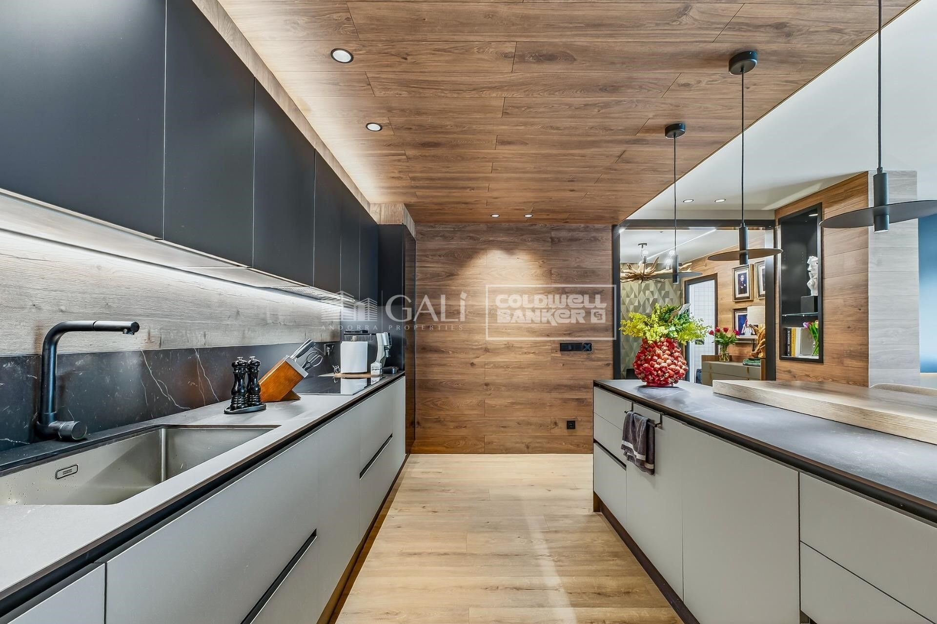 Ground floor 5 Bedrooms Sale Canillo