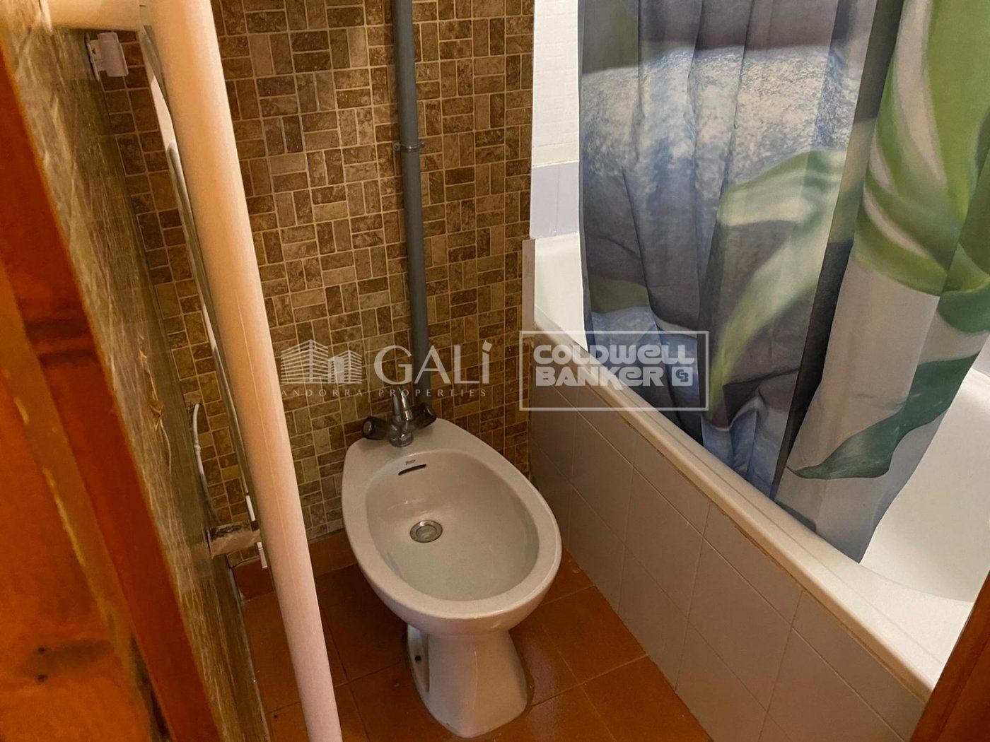 Studio Vermietung Canillo
