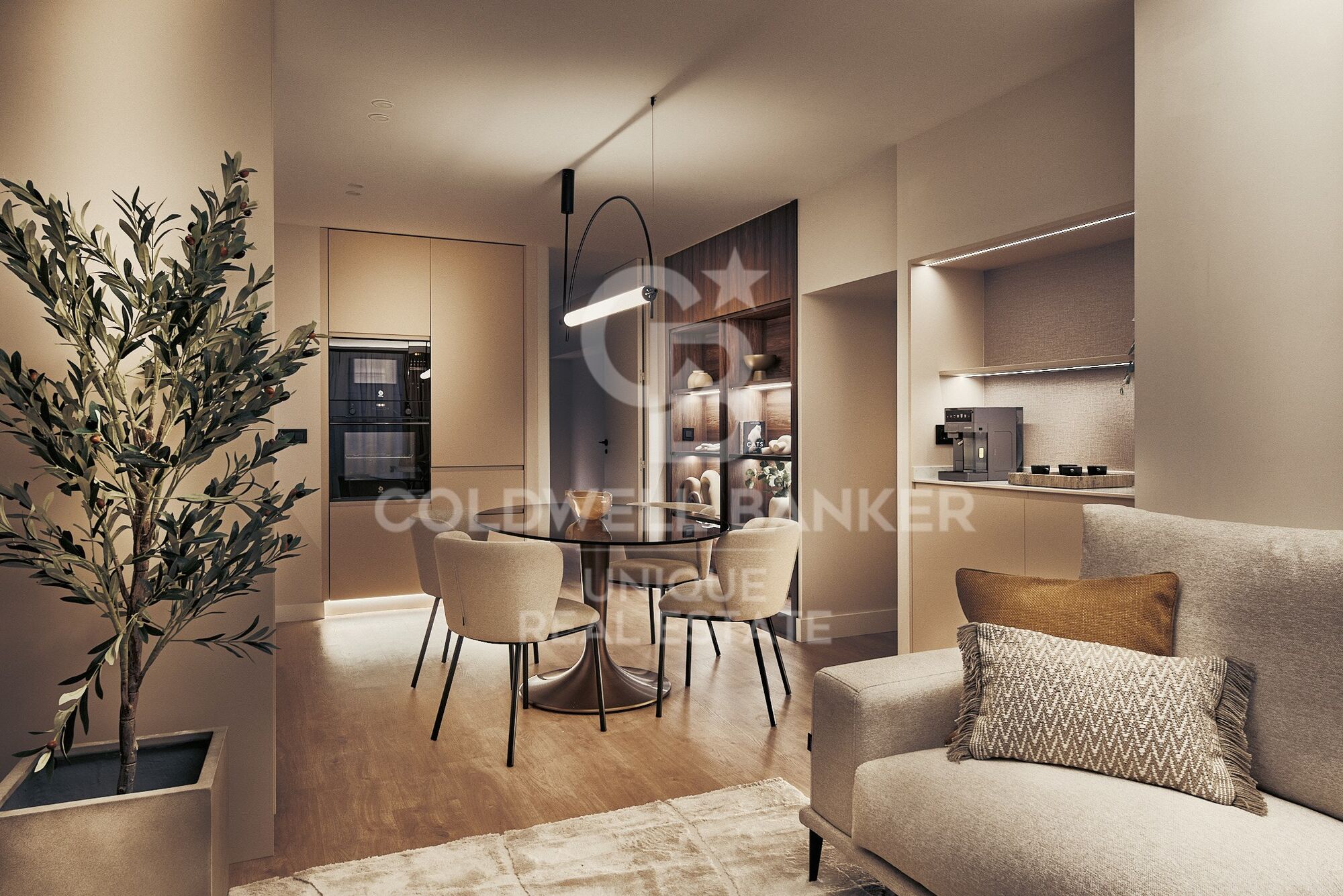 Renovated apartment in Castellana, Madrid