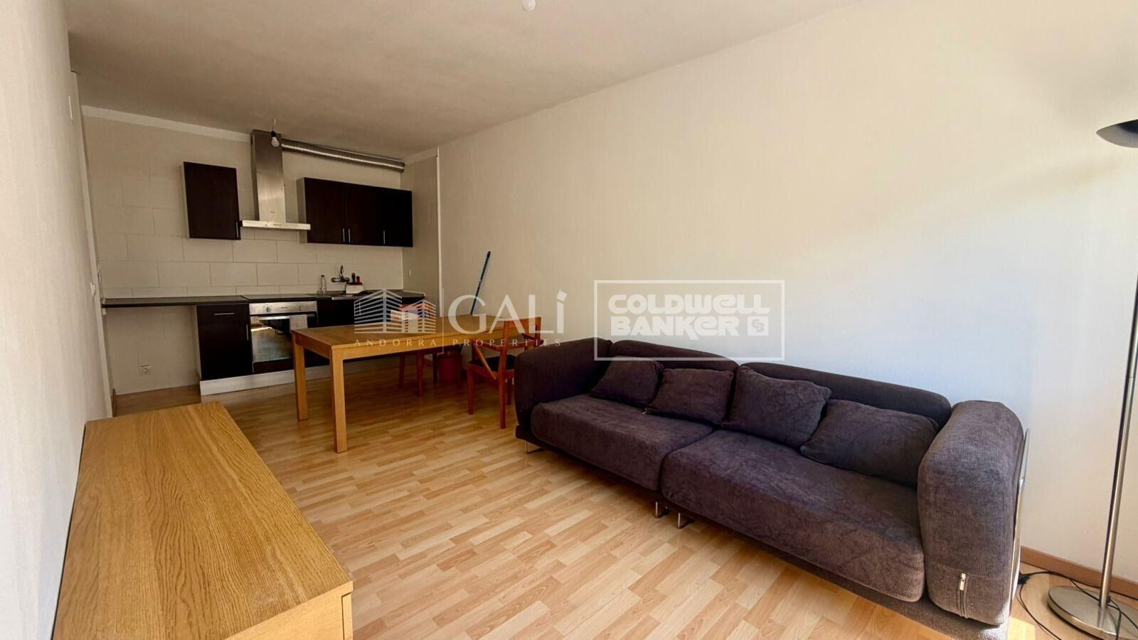 Apartment 1 Schlafzimmer Vermietung Encamp