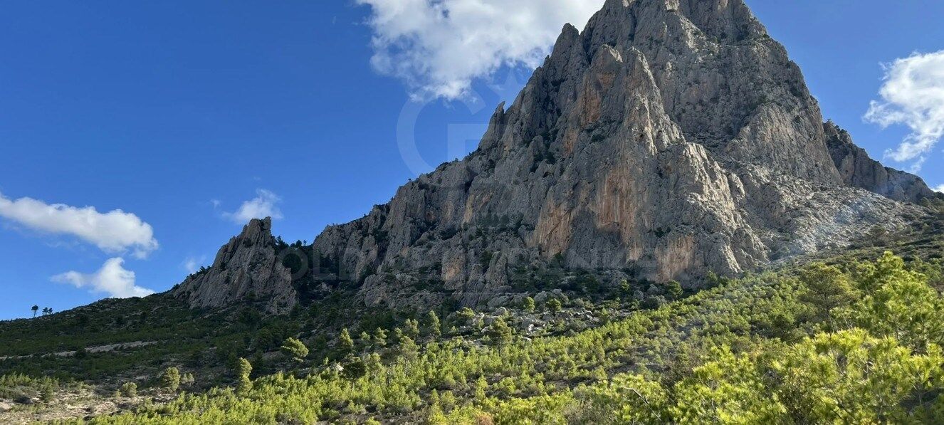 Villas Petra - Contemporary Mediterranean architecture and exclusive design on the Costa Blanca
