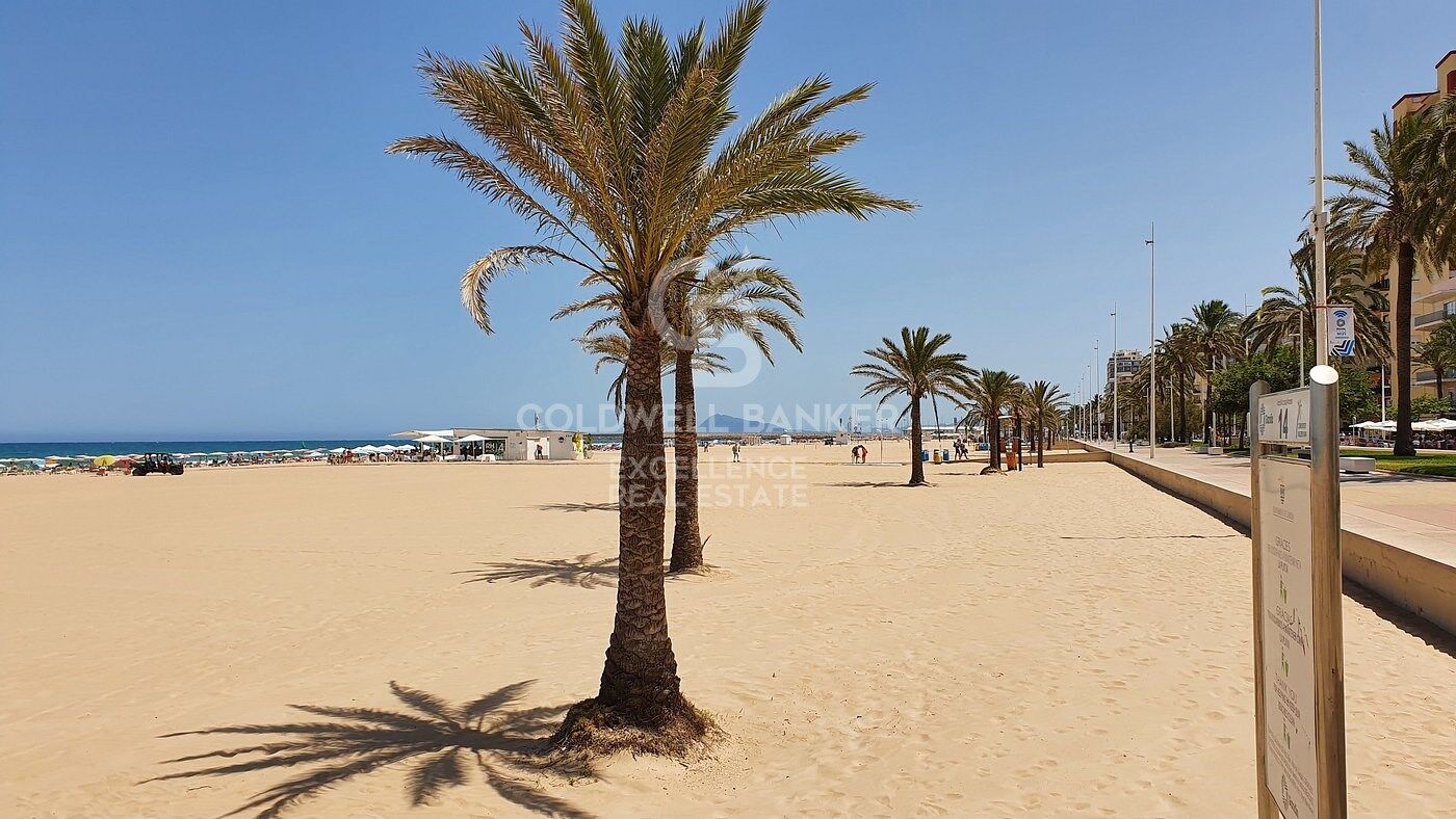 Solar premium entre la ciudad y playa en Gandía: Construye la casa de tus sueños.