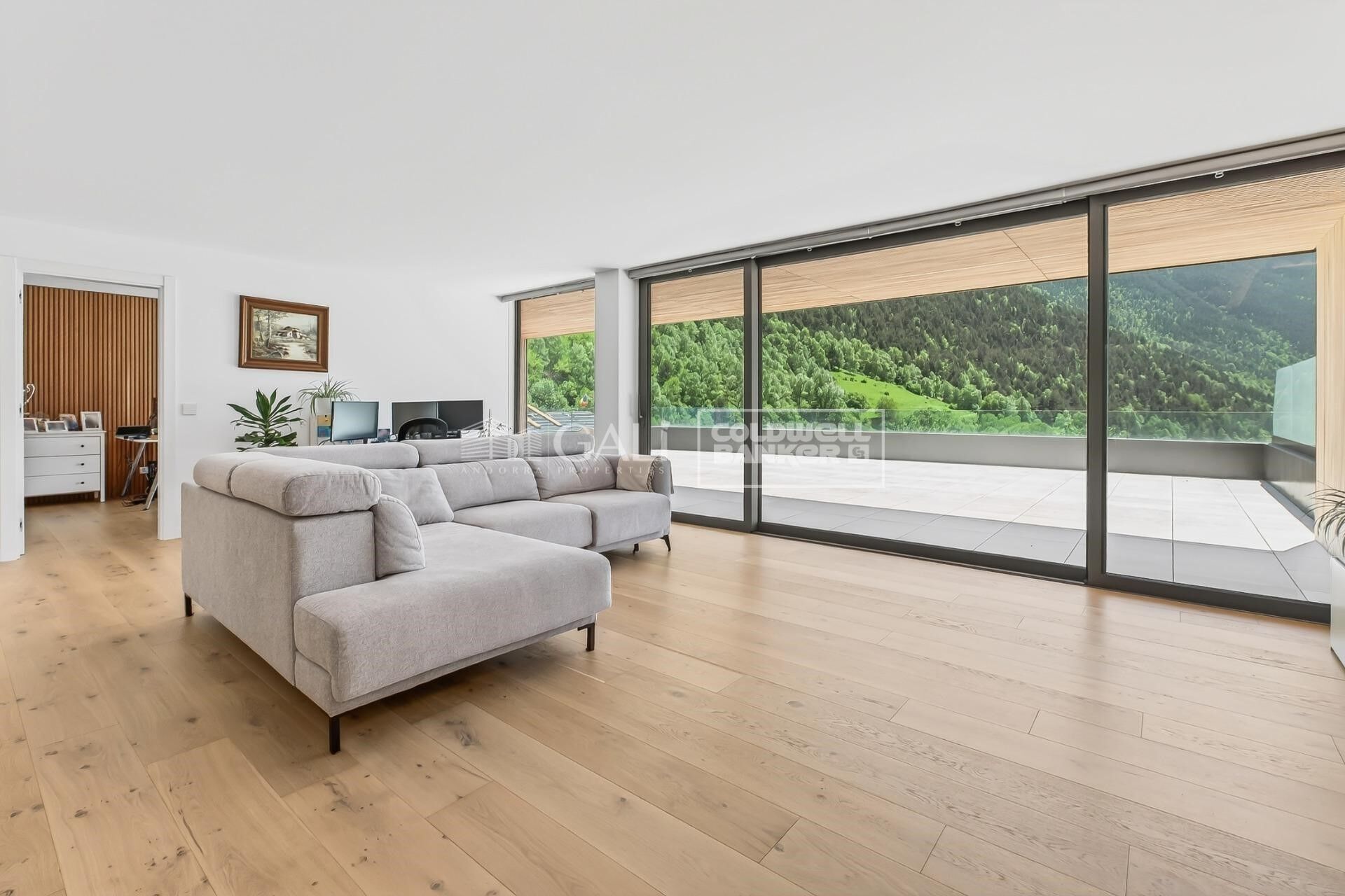 Planta baja - piso 4 habitaciones Venta Ordino