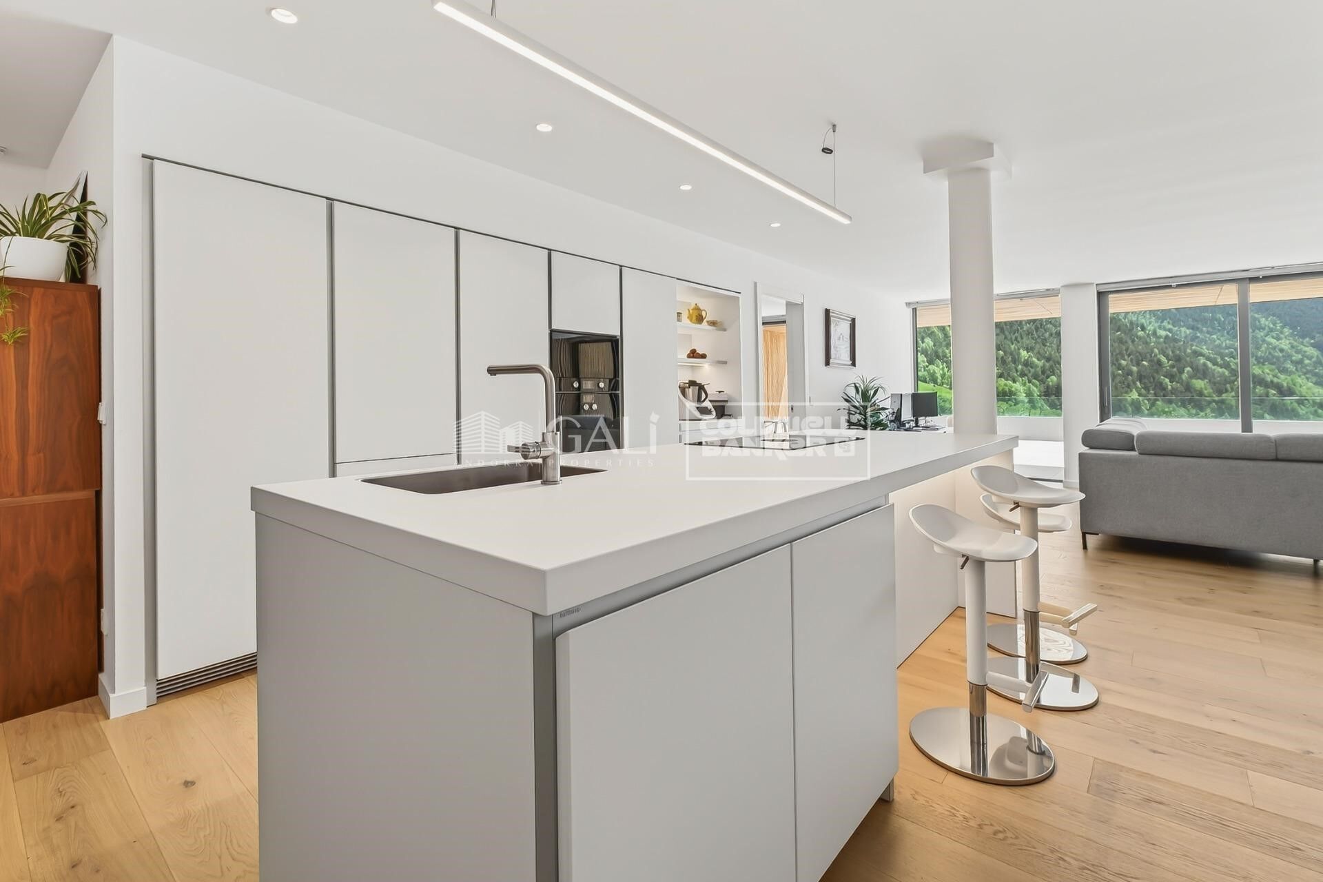 Planta baja - piso 4 habitaciones Venta Ordino
