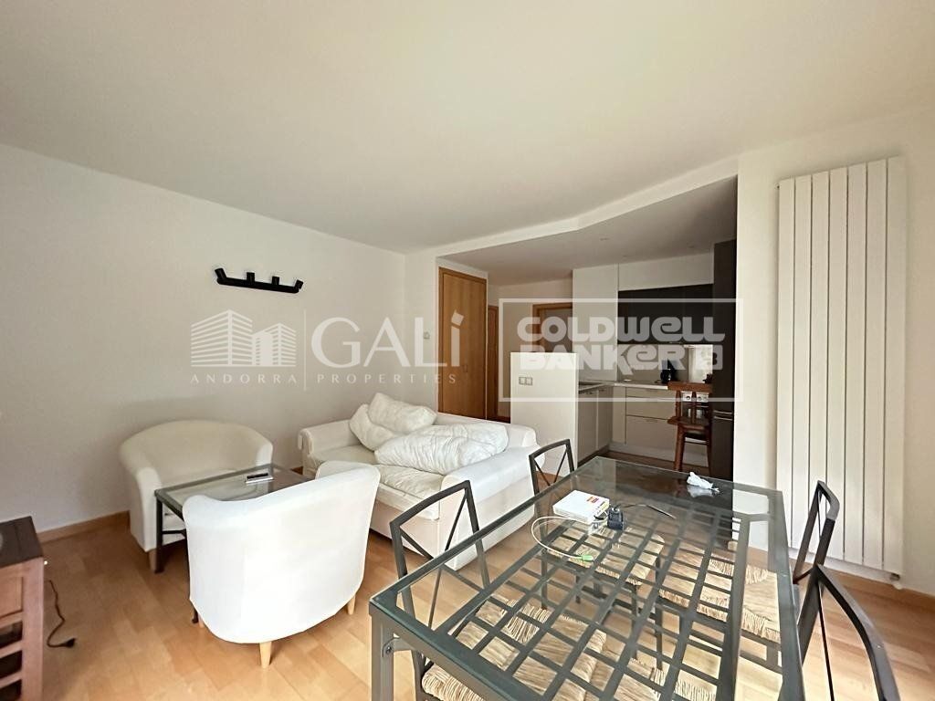 Apartment 1 Schlafzimmer Vermietung Escaldes-Engordany