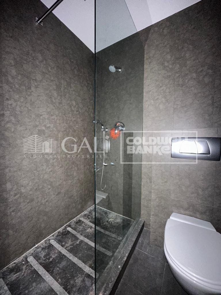 Apartment 1 Schlafzimmer Vermietung Escaldes-Engordany