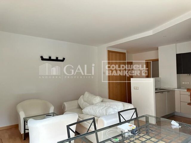 Apartment 1 Schlafzimmer Vermietung Escaldes-Engordany
