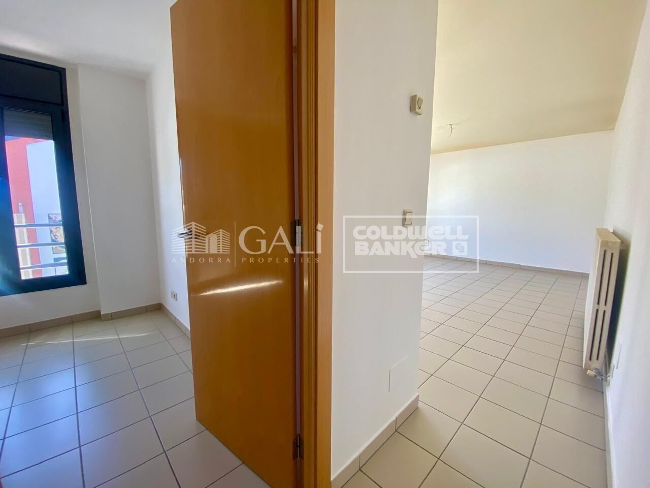 Apartment 1 Bedroom Rent Encamp