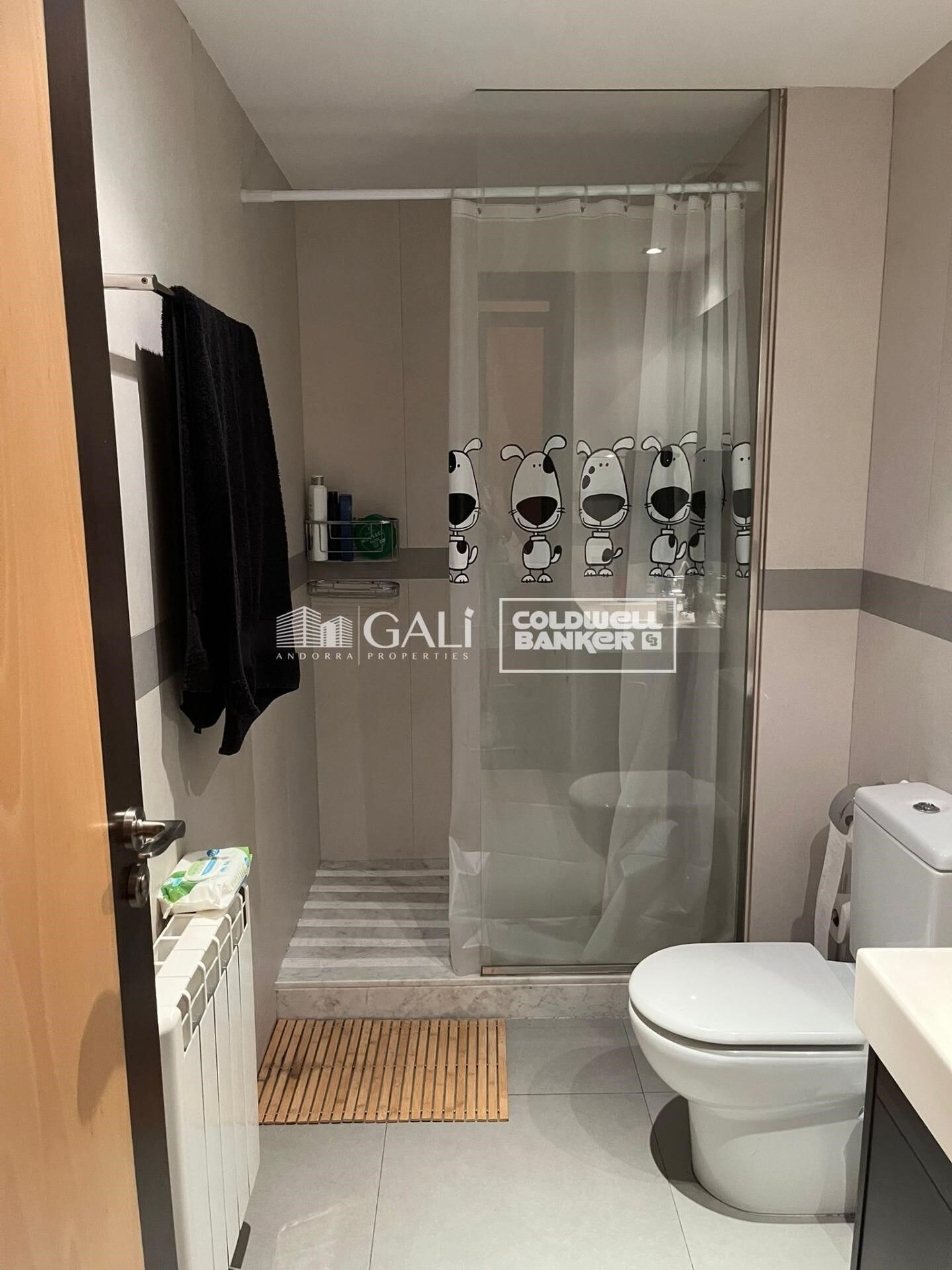 Planta baja - piso 3 habitaciones Venta La Massana