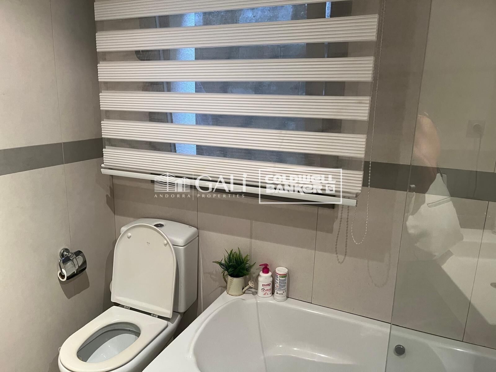 Planta baja - piso 3 habitaciones Venta La Massana