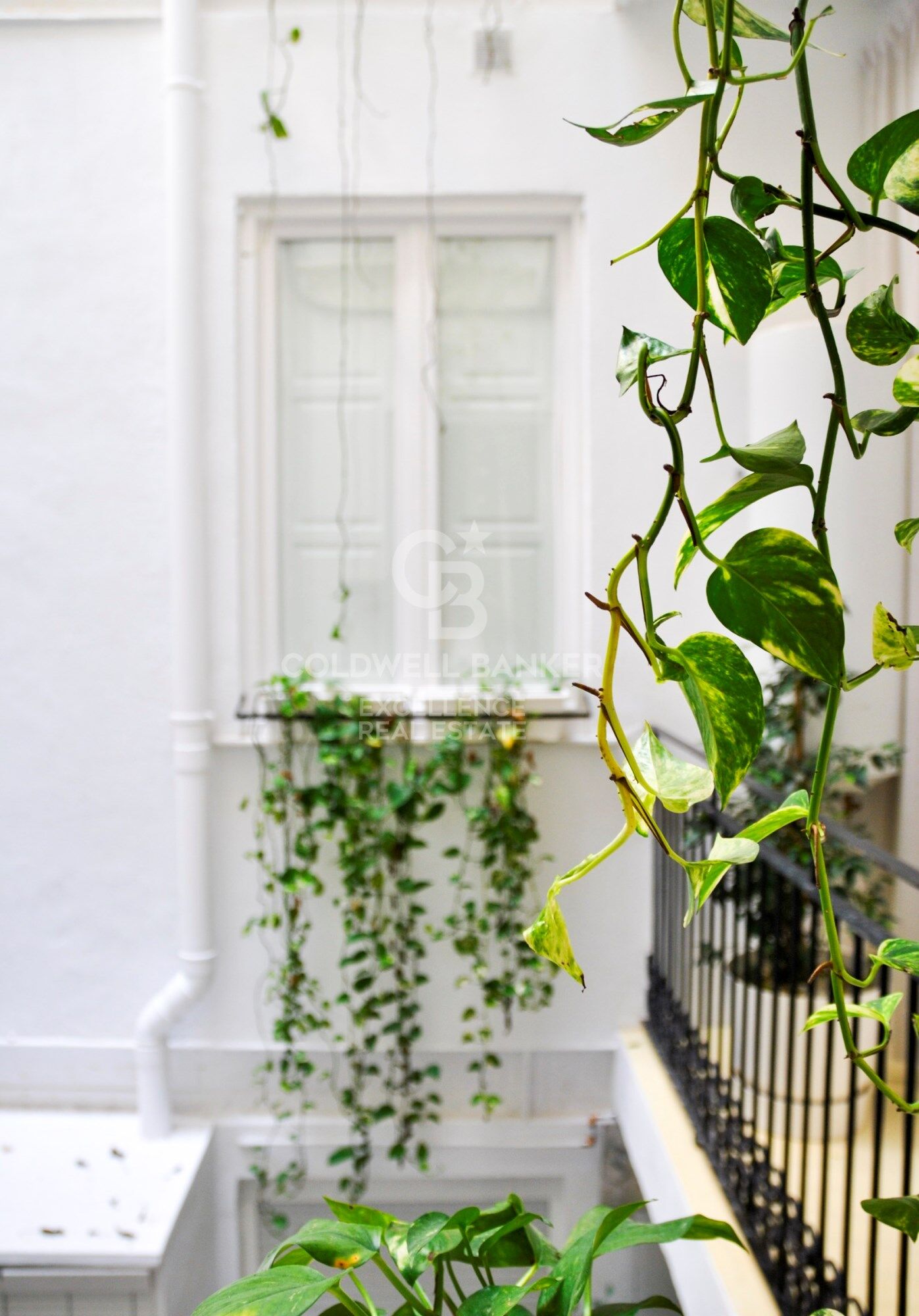 Premium-Wohnsitz neben der Calle de la Paz. Design und Erbe.