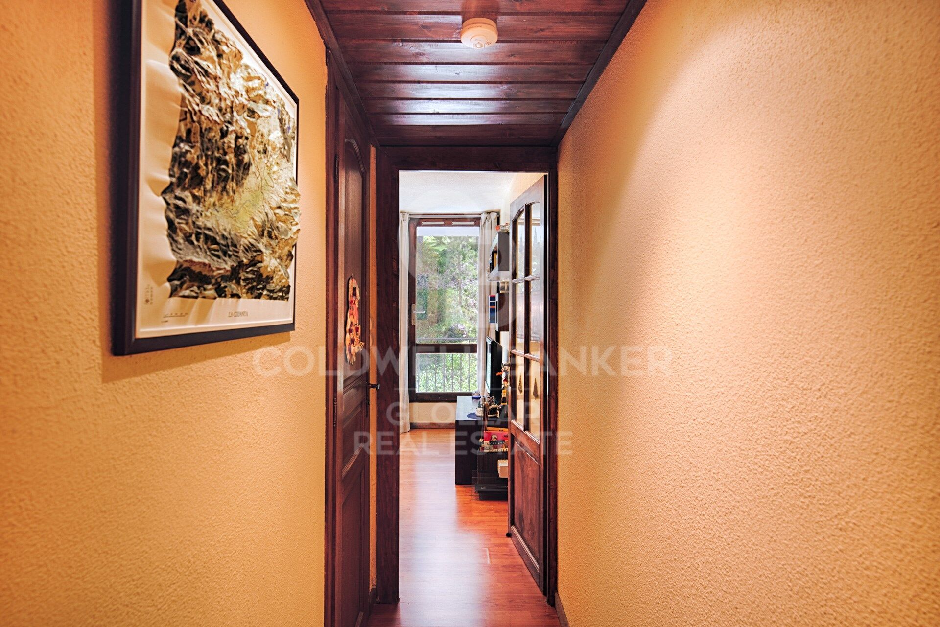Apartment with a view of the Eyne ski slopes