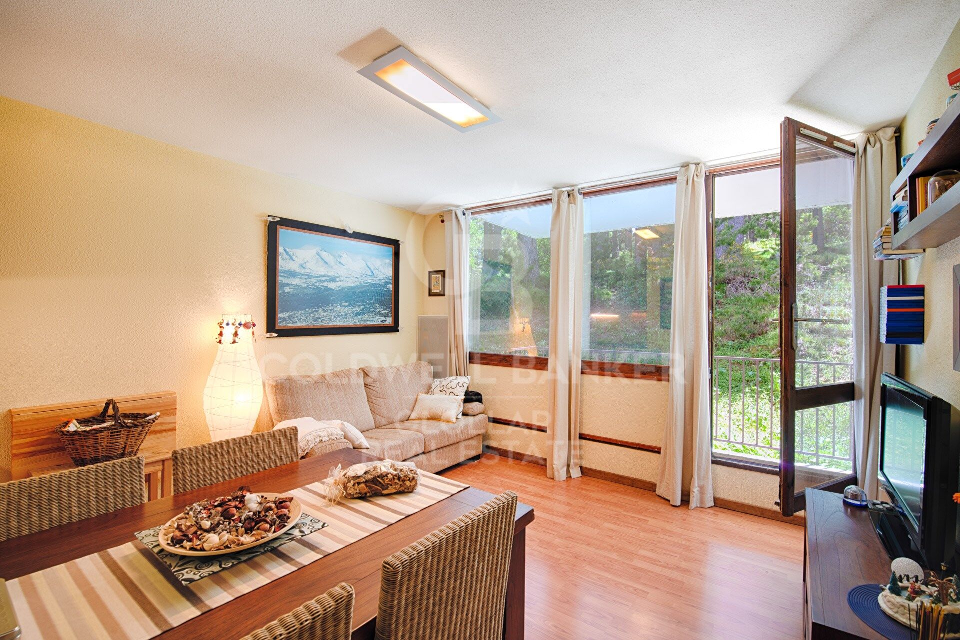 Appartement avec vue sur les pistes de ski de l'Eyne