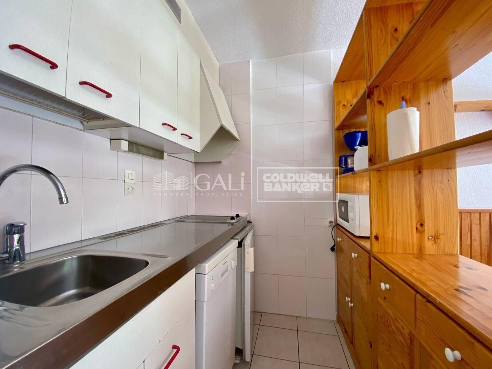 Apartamento Estudio Alquiler Encamp