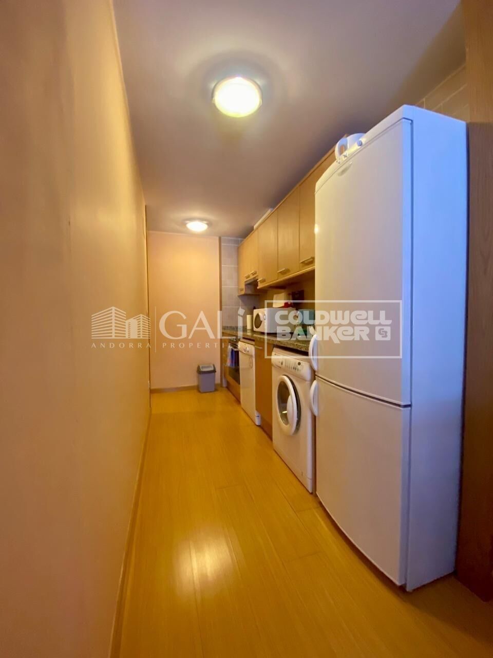 Apartment 1 Bedroom Rent Canillo