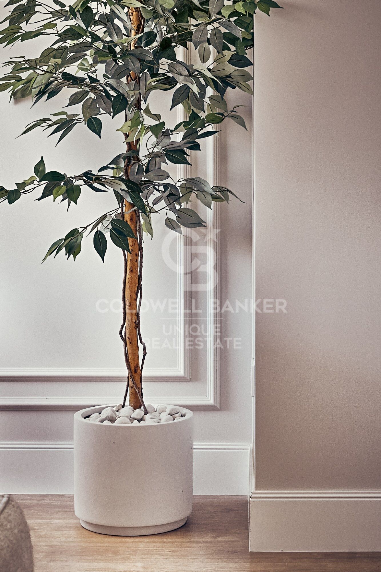 Appartement rénové de deux chambres dans le quartier de Salamanca