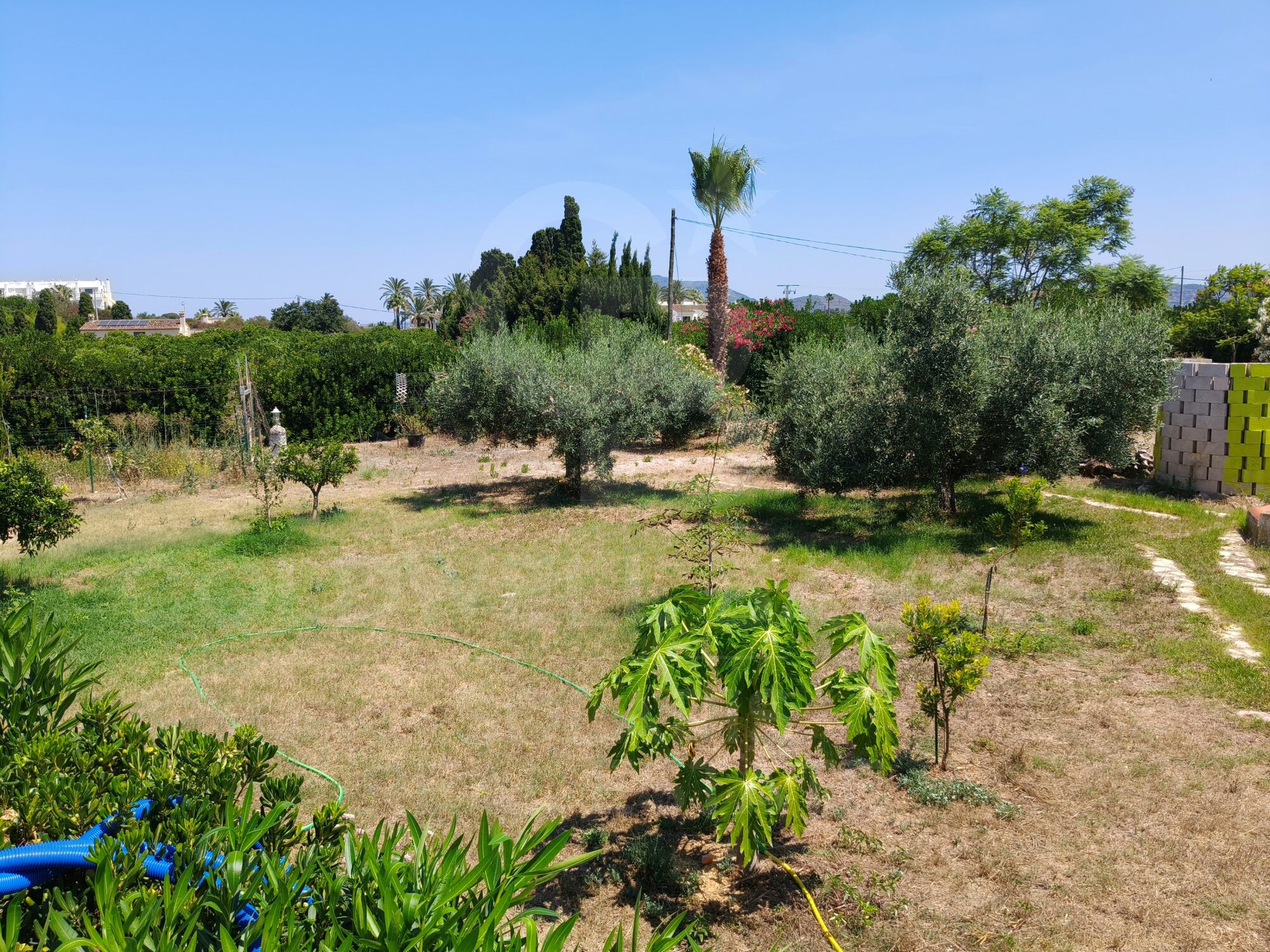 Exklusive Finca mit Energieautonomie, zwei Häuser, Schwimmbad und große Außenbereiche