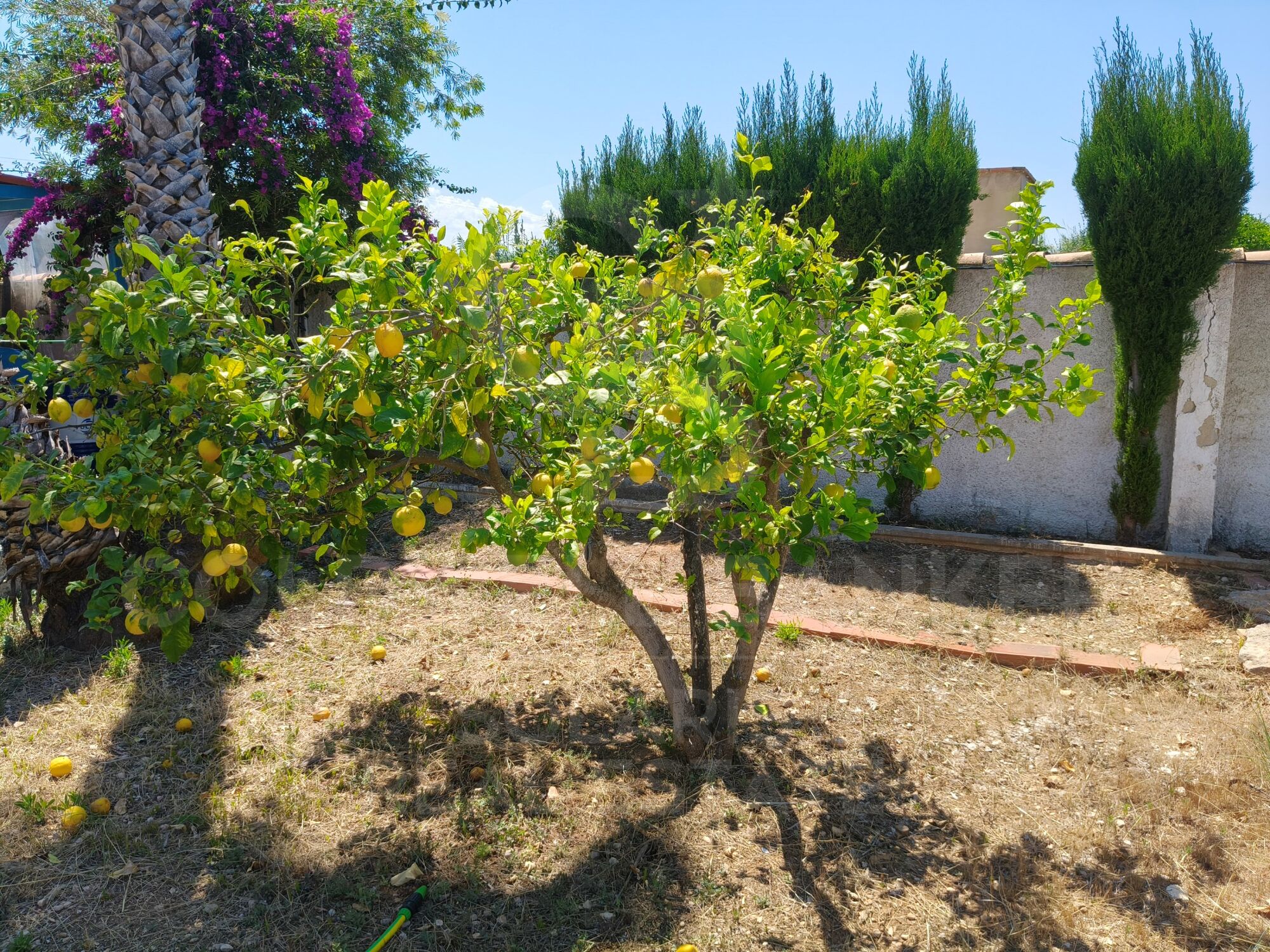 Exklusive Finca mit Energieautonomie, zwei Häuser, Schwimmbad und große Außenbereiche