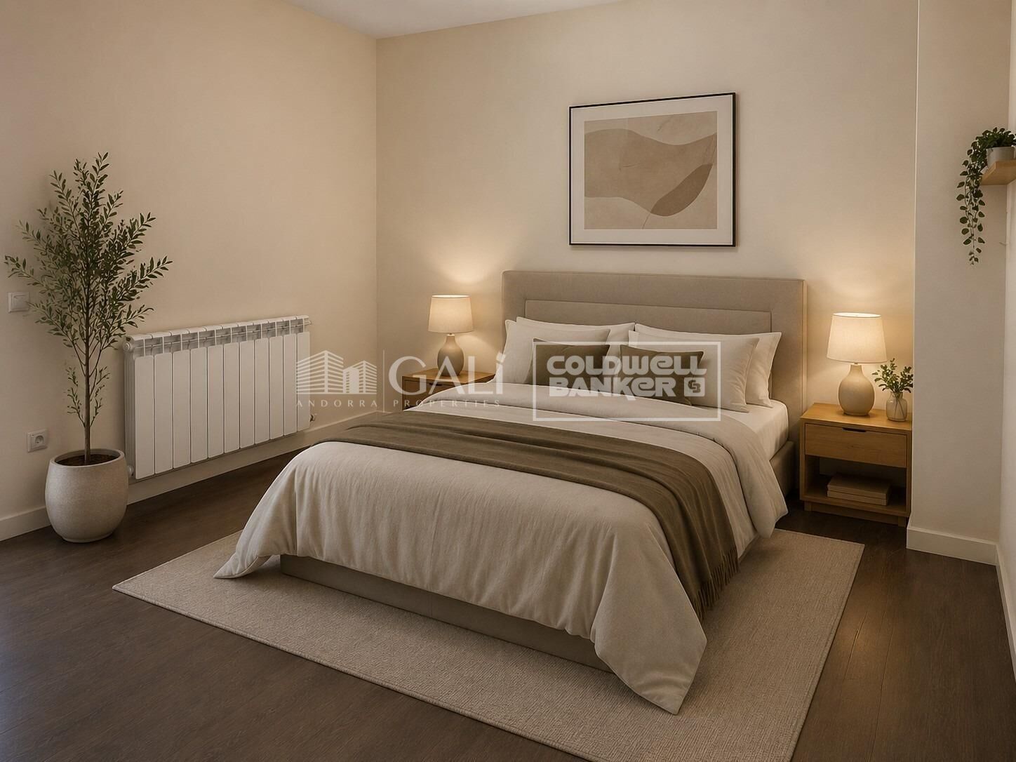 Planta baja - piso 3 habitaciones Venta La Massana