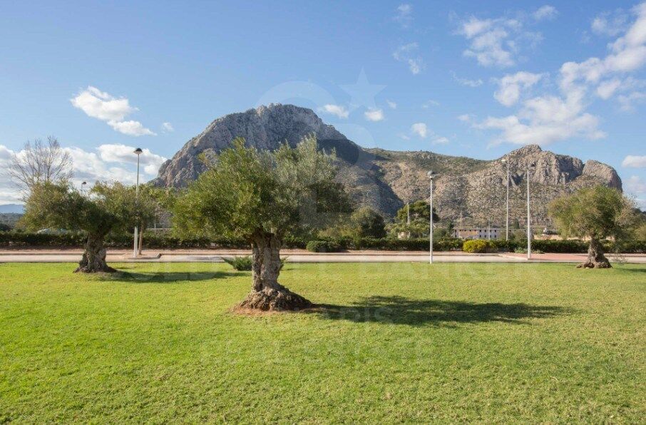 Terrain urbain avec un excellent potentiel de développement à El Verger