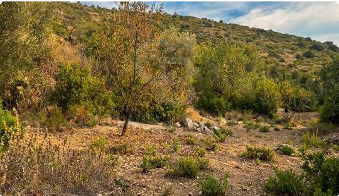 Excelente oportunidad de inversión: parcela urbana de 1.077 m² en el corazón del Vall de Pop