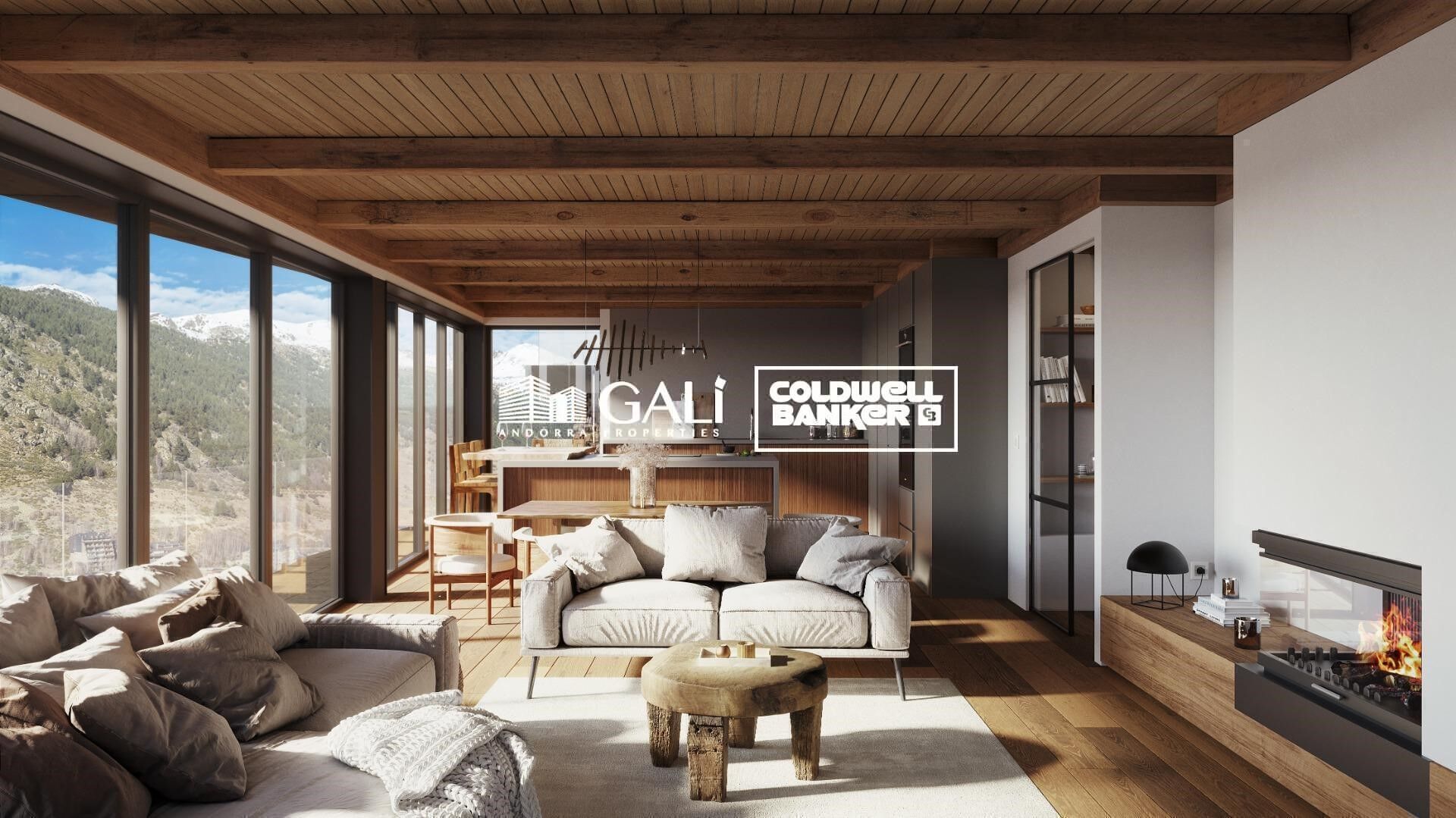 Apartment 4 Bedrooms Rent Canillo