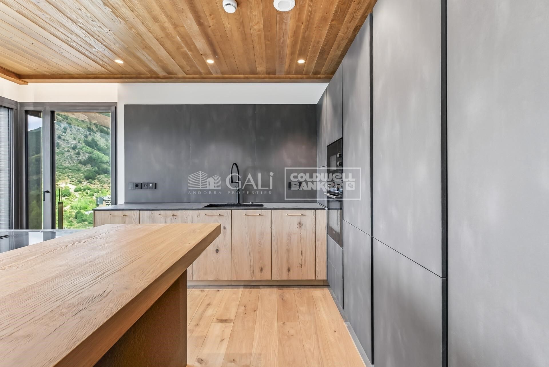 Apartment 4 Bedrooms Rent Canillo